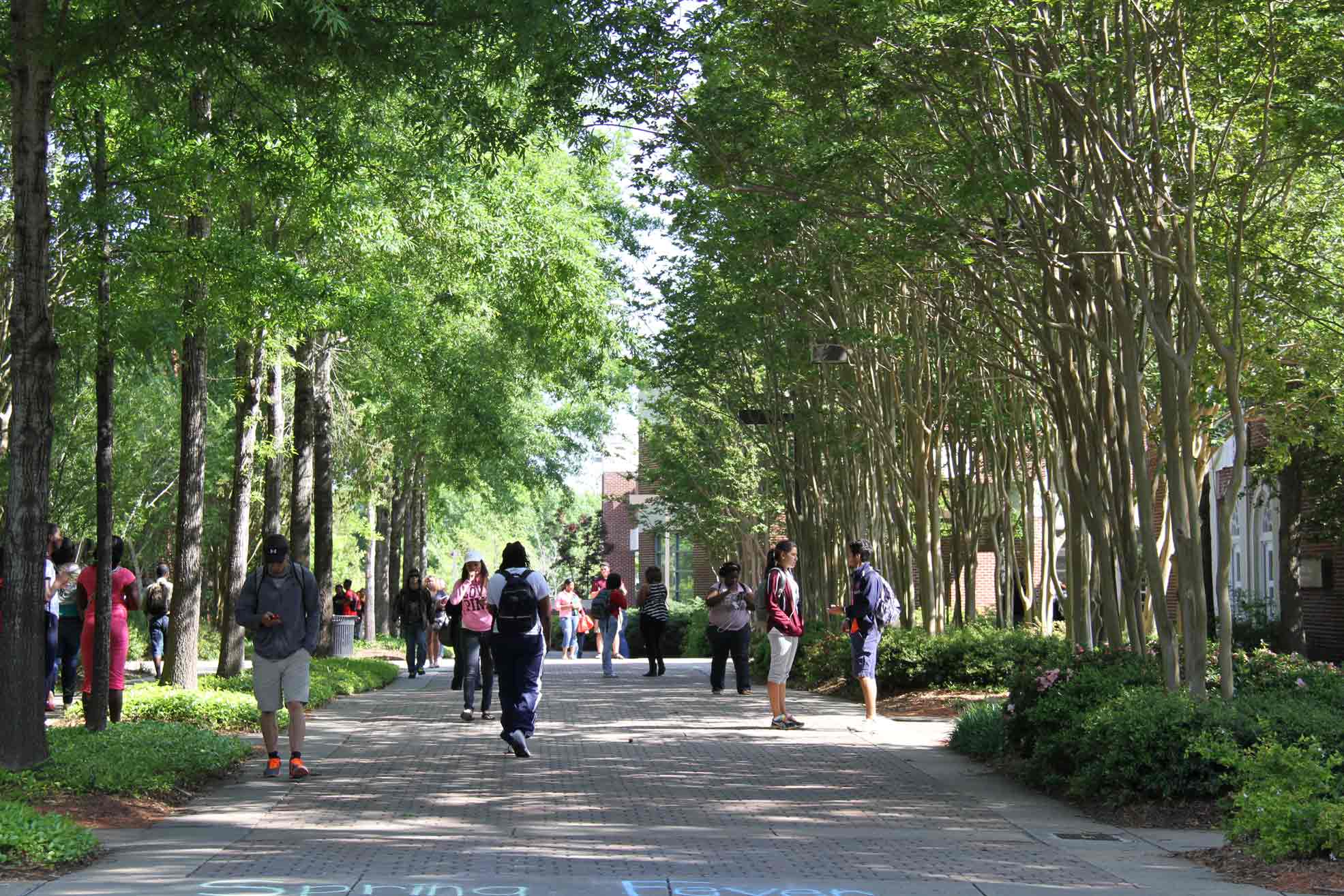 Returning to Hinds Hinds Community College