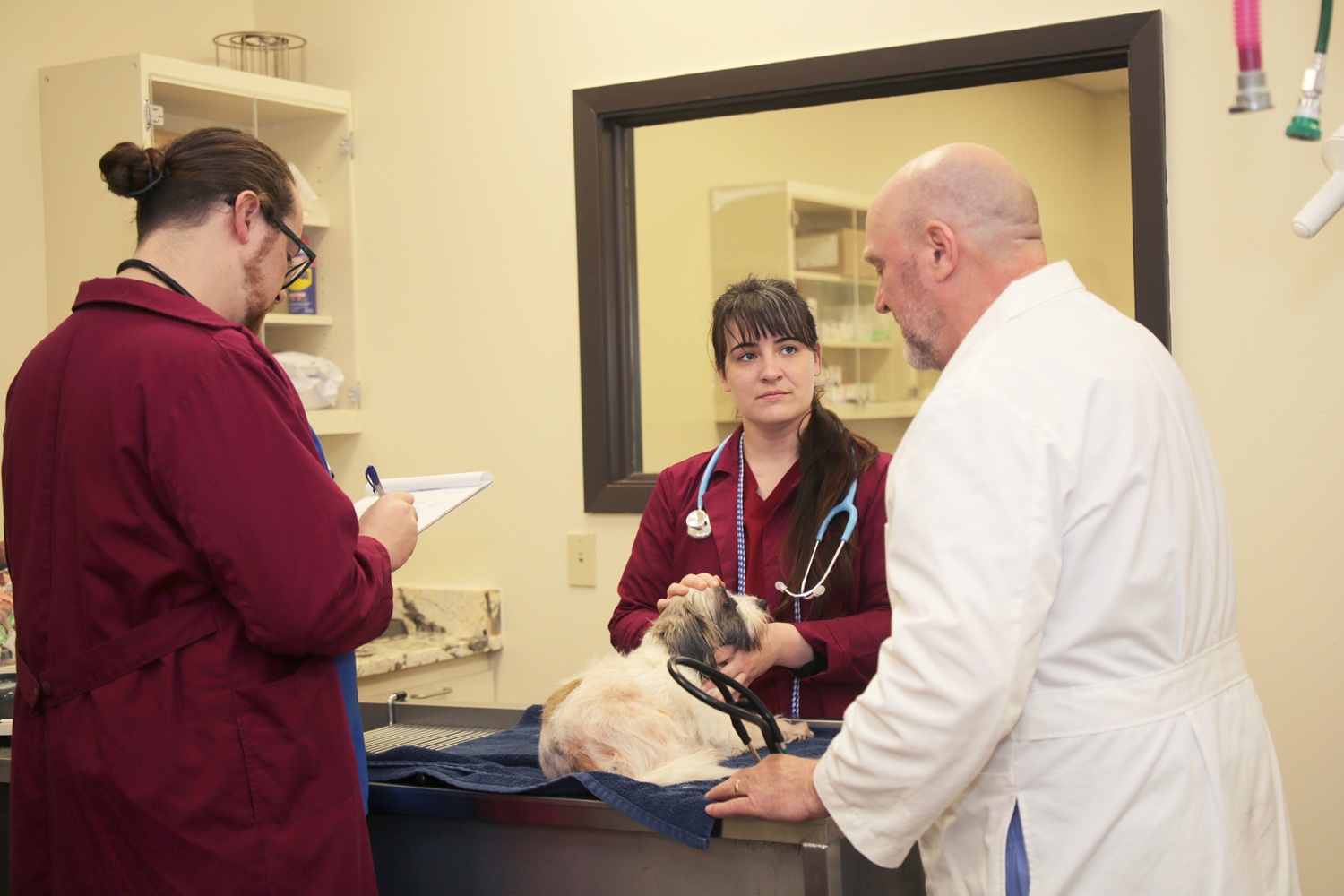 Vet Tech Program Feb 2026 (16)