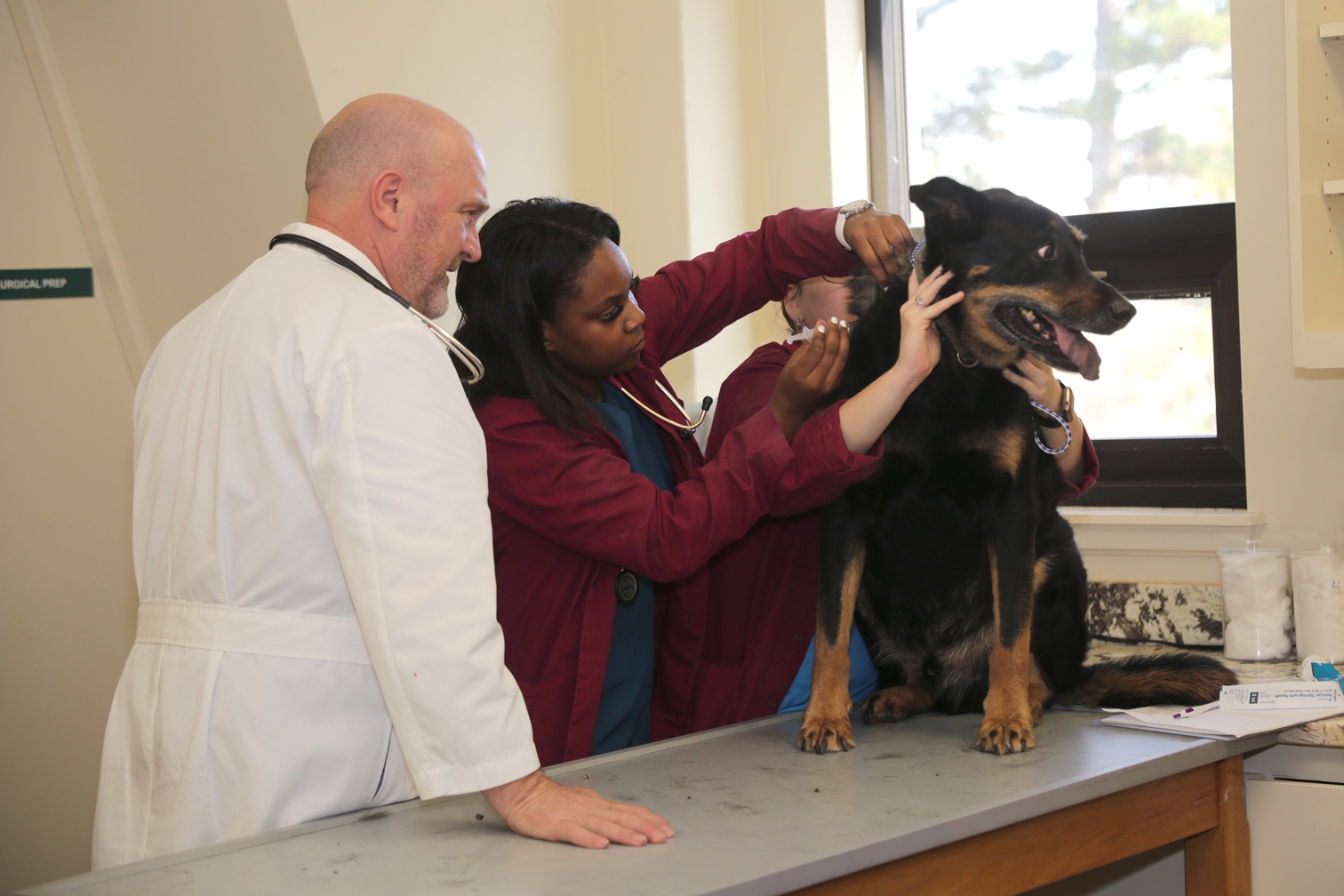 Vet Tech Program Feb 2026 (27)